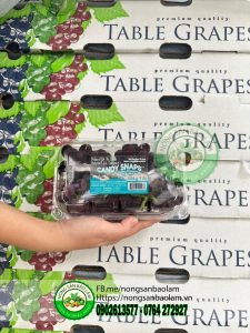 Nho kẹo Mỹ Bravante 450gram 1 hộp