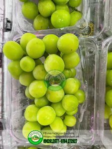 Nho Mẫu Đơn Đài - Nho Sữa