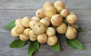 Bòn bon vỏ nám